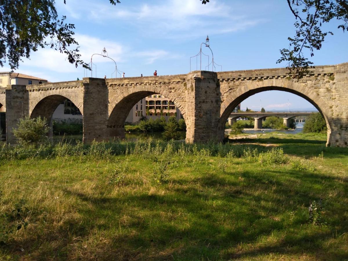 Апартаменты Carcassonne T3 Residentiel Rez De Jardin Piscine, Wifi, Tennis, Fitness Экстерьер фото
